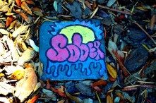 painted recovery stone with sober written on it at turning point of tampa campus