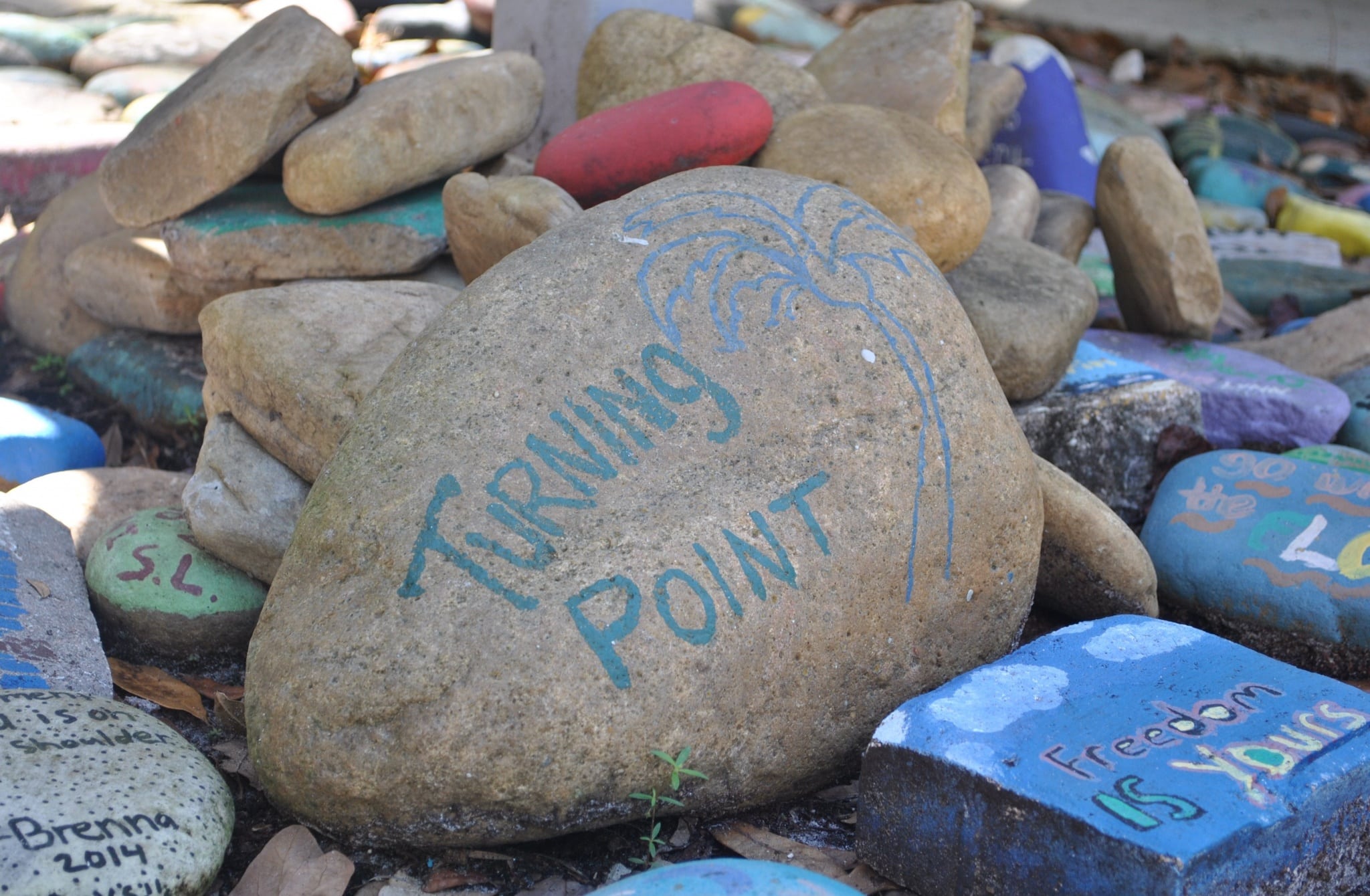 Rock Garden