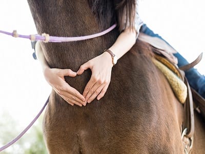 woman riding a horse in equine therapy