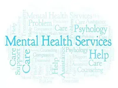 what is the baker act meaning