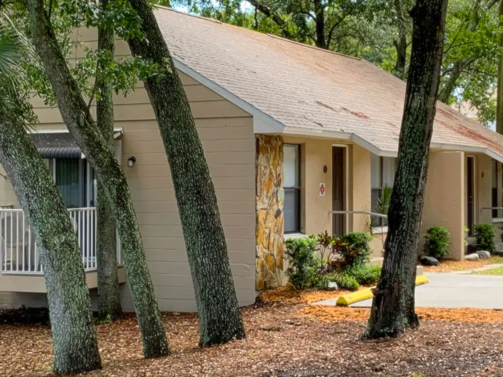 Reducing Stigma of Substance Abuse for Veterans | Turning Point of Tampa