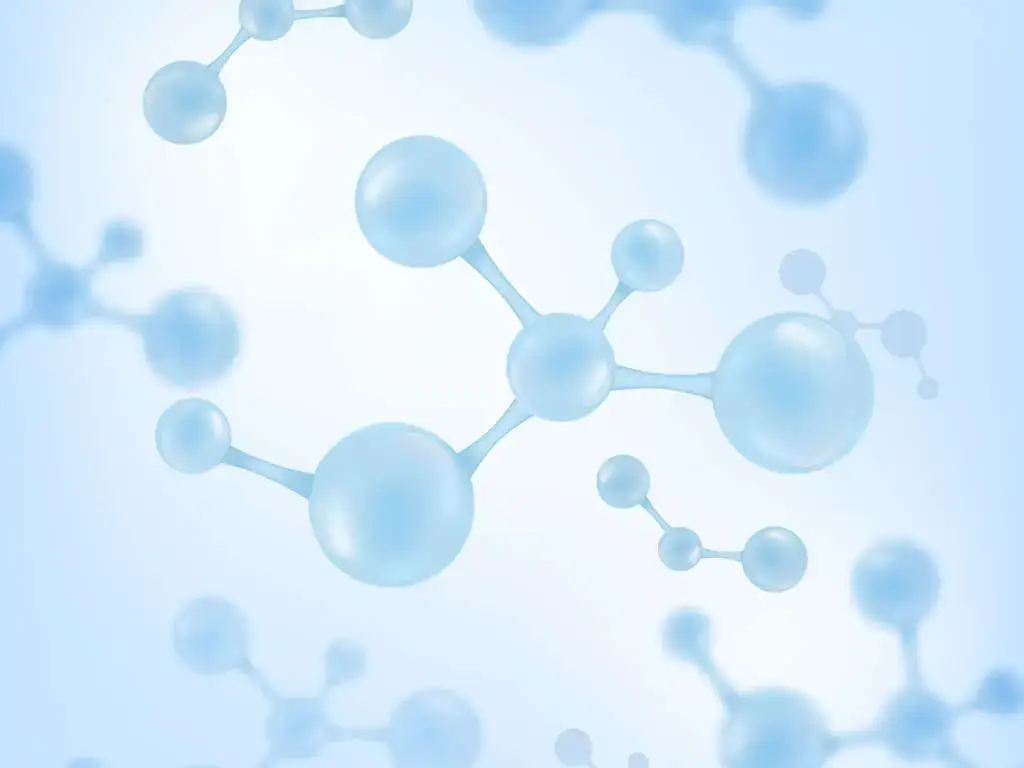 Serotonin Toxicity And Severe Serotonin Toxicity | Turning Point of Tampa