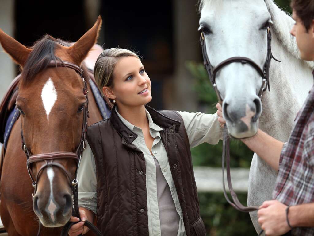 Equine Therapy Is Helpful For Intensive Relapse Prevention | Turning Point of Tampa