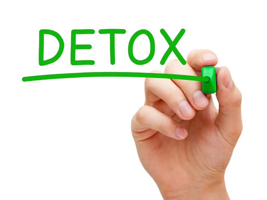 Detox from Drugs | Turning Point of Tampa