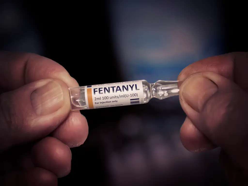 Illicitly Manufactured Fentanyl | Turning Point of Tampa