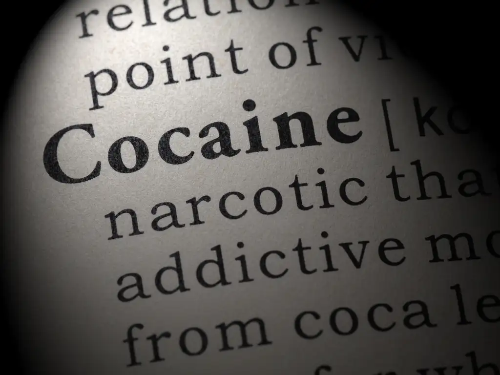 What is Cocaine? | Turning Point of Tampa