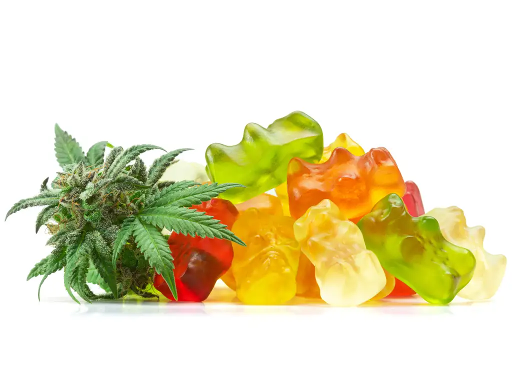 THC Edibles and THC Gummies | Turning Point of Tampa