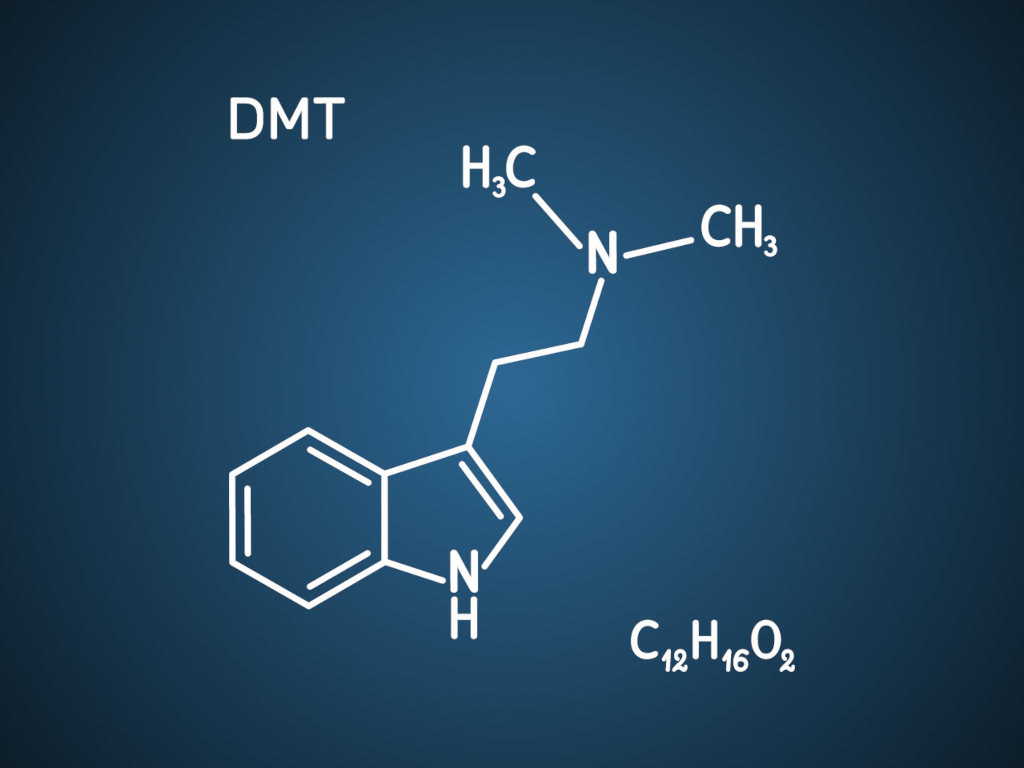 What is DMT? | Turning Point of Tampa