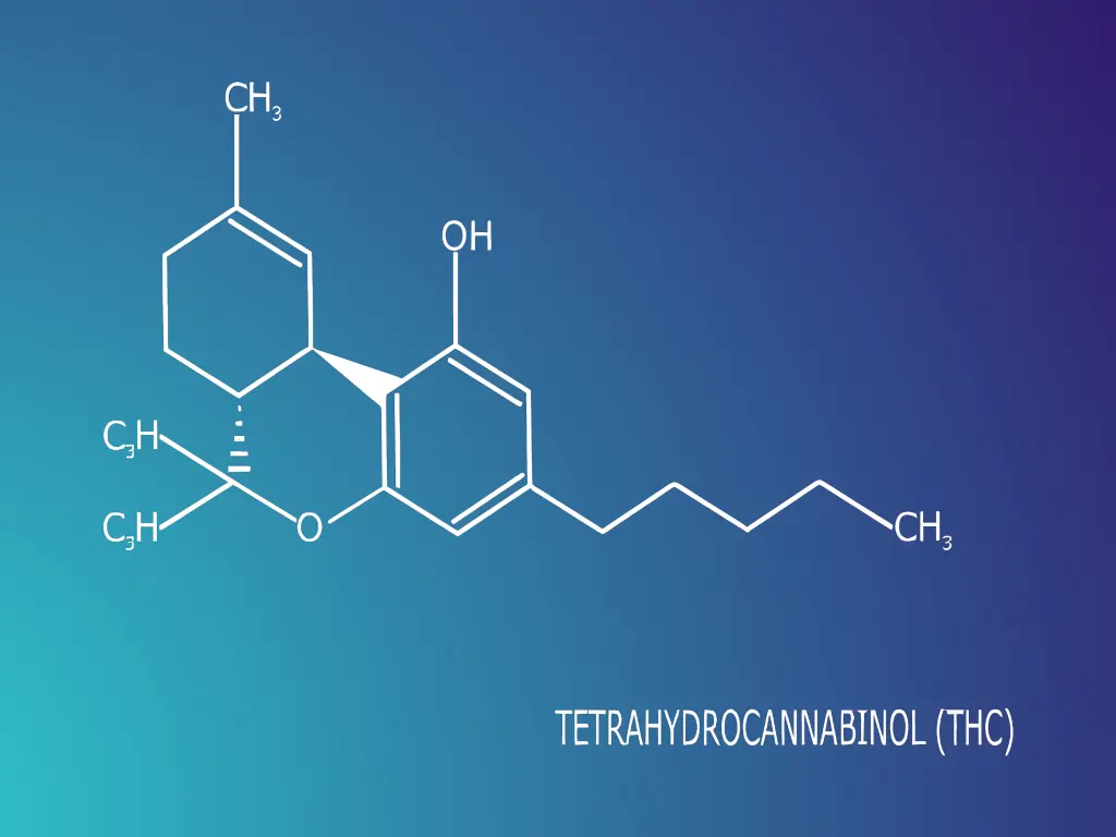 Marijuana and Spice Risks | Turning Point of Tampa