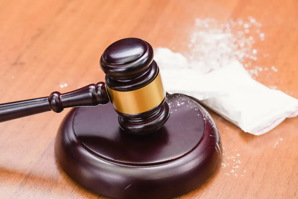 Fight Against Xylazine Addiction In Tampa | Turning Point of Tampa