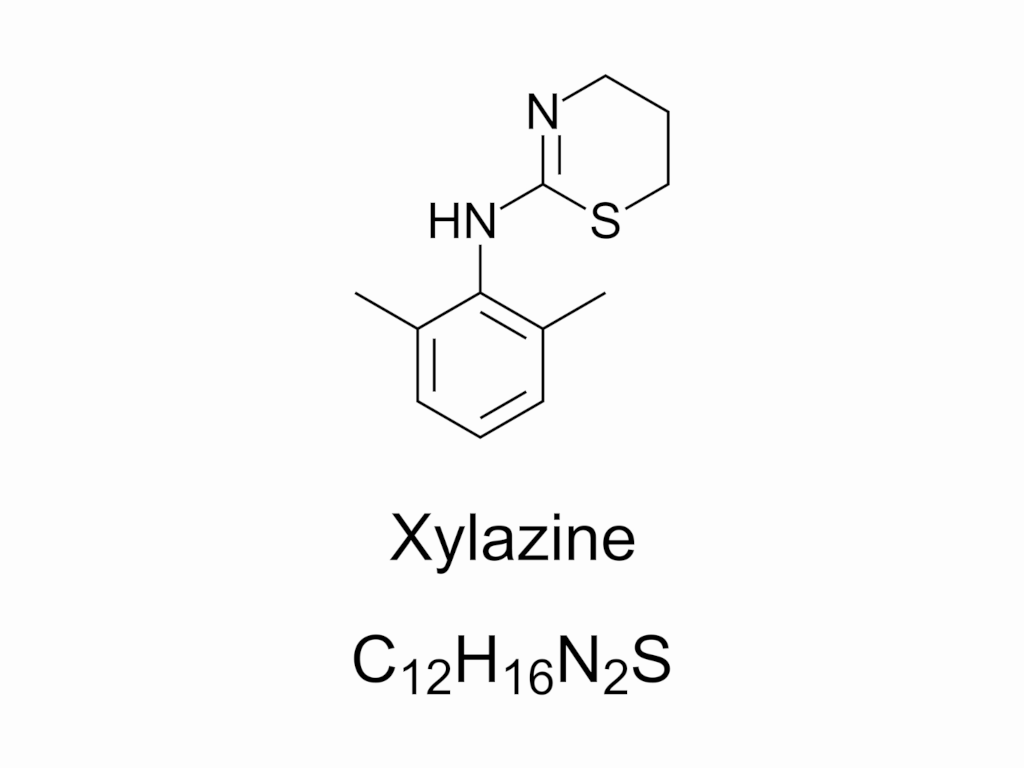 The Rise Of Xylazine-Fentanyl Pills Seized | Turning Point of Tampa