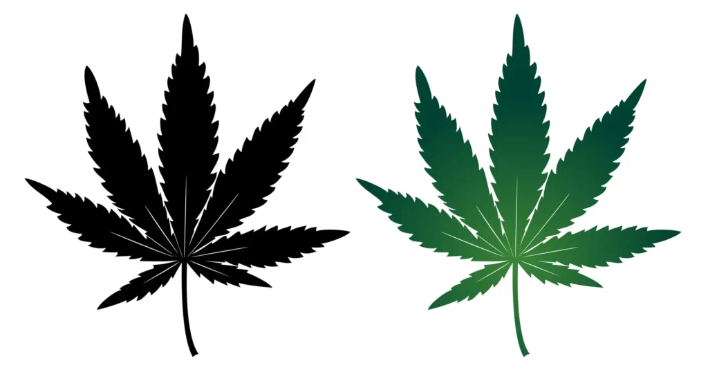 Marijuana Addiction | Turning Point of Tampa