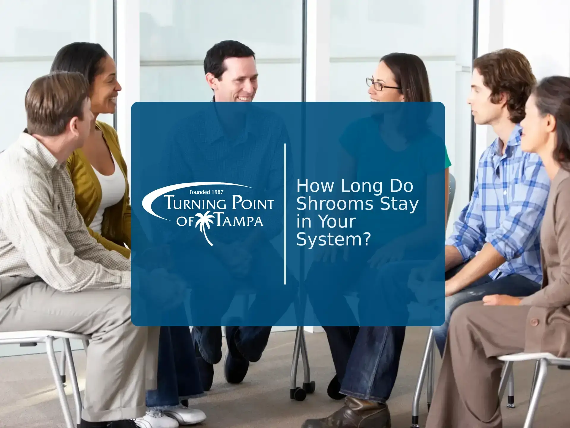 How Long Do Shrooms Stay in Your System? | Turning Point of Tampa